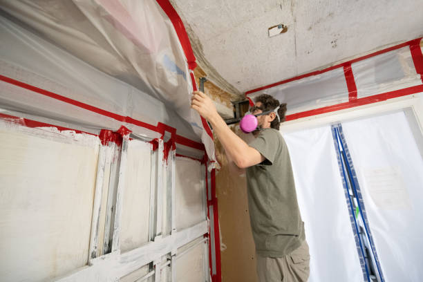 Mold Documentation for Insurance Claims in Shenandoah, PA