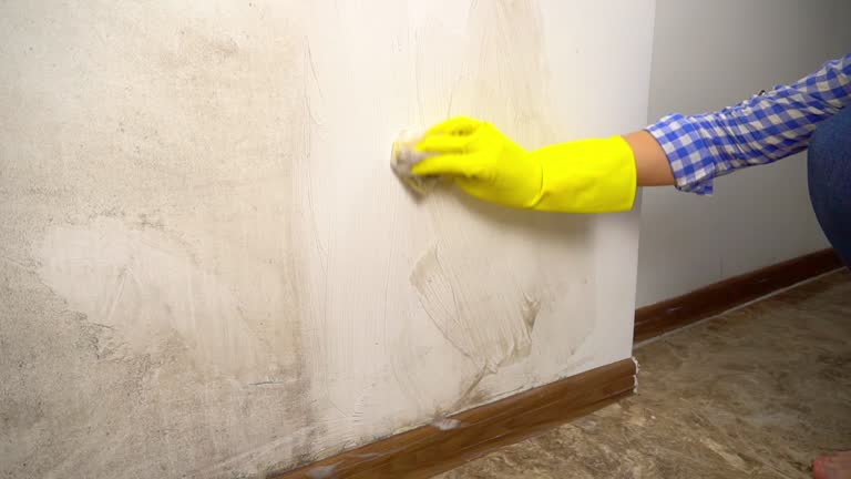 Mold Remediation for Vacation Homes in Shenandoah, PA